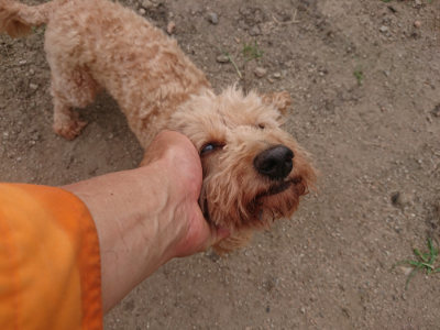 f:id:roukenhome-ann:20190709051521j:plain f:id:roukenhome-ann:20190709051521j:plain