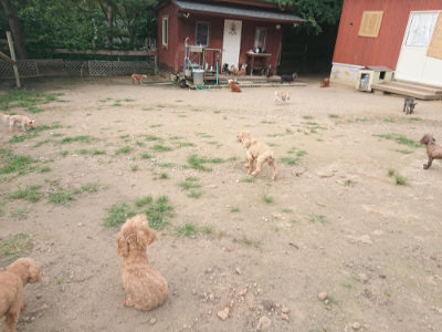 f:id:roukenhome-ann:20190709051533j:plain f:id:roukenhome-ann:20190709051533j:plain