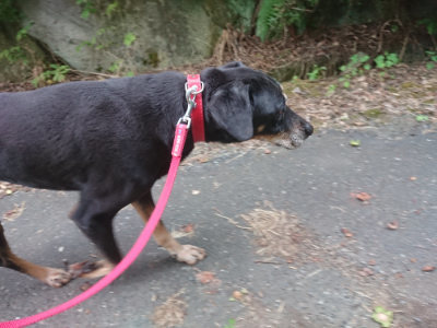 f:id:roukenhome-ann:20190709052149j:plain f:id:roukenhome-ann:20190709052149j:plain