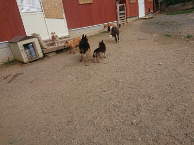 f:id:roukenhome-ann:20190709052219j:plain f:id:roukenhome-ann:20190709052219j:plain