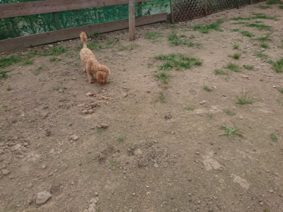 f:id:roukenhome-ann:20190709052300j:plain f:id:roukenhome-ann:20190709052300j:plain