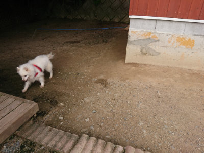 f:id:roukenhome-ann:20190709052314j:plain f:id:roukenhome-ann:20190709052314j:plain