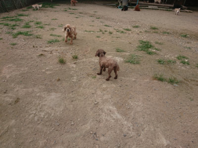 f:id:roukenhome-ann:20190709052359j:plain f:id:roukenhome-ann:20190709052359j:plain