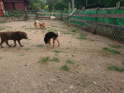 f:id:roukenhome-ann:20190709052415j:plain f:id:roukenhome-ann:20190709052415j:plain