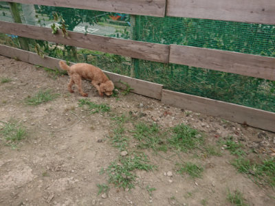 f:id:roukenhome-ann:20190709052910j:plain f:id:roukenhome-ann:20190709052910j:plain
