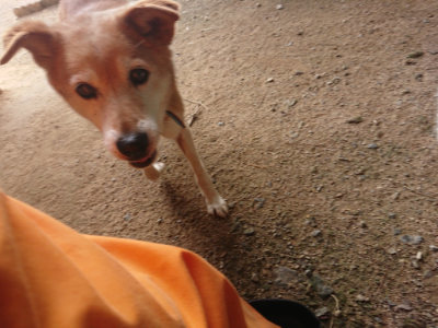 f:id:roukenhome-ann:20190709053121j:plain f:id:roukenhome-ann:20190709053121j:plain