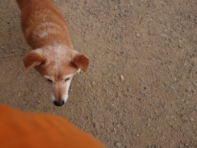 f:id:roukenhome-ann:20190709064428j:plain f:id:roukenhome-ann:20190709064428j:plain