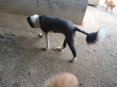 f:id:roukenhome-ann:20190709064506j:plain f:id:roukenhome-ann:20190709064506j:plain