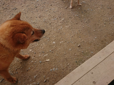 f:id:roukenhome-ann:20190709064637j:plain f:id:roukenhome-ann:20190709064637j:plain