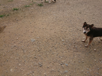 f:id:roukenhome-ann:20190709064723j:plain f:id:roukenhome-ann:20190709064723j:plain