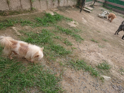f:id:roukenhome-ann:20190709064738j:plain f:id:roukenhome-ann:20190709064738j:plain