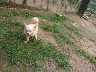 f:id:roukenhome-ann:20190709064749j:plain f:id:roukenhome-ann:20190709064749j:plain
