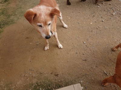 f:id:roukenhome-ann:20190709064813j:plain f:id:roukenhome-ann:20190709064813j:plain