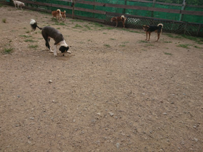 f:id:roukenhome-ann:20190709064828j:plain f:id:roukenhome-ann:20190709064828j:plain