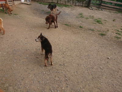 f:id:roukenhome-ann:20190709064833j:plain f:id:roukenhome-ann:20190709064833j:plain