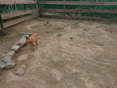 f:id:roukenhome-ann:20190709064849j:plain f:id:roukenhome-ann:20190709064849j:plain