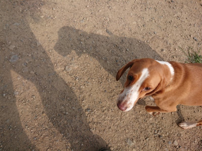 f:id:roukenhome-ann:20190709064959j:plain f:id:roukenhome-ann:20190709064959j:plain