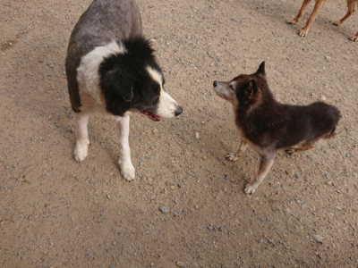 f:id:roukenhome-ann:20190709065031j:plain f:id:roukenhome-ann:20190709065031j:plain