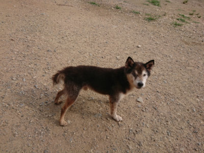 f:id:roukenhome-ann:20190709065214j:plain f:id:roukenhome-ann:20190709065214j:plain