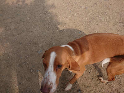 f:id:roukenhome-ann:20190709065405j:plain f:id:roukenhome-ann:20190709065405j:plain