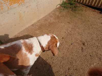 f:id:roukenhome-ann:20190709065526j:plain f:id:roukenhome-ann:20190709065526j:plain