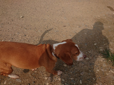 f:id:roukenhome-ann:20190709065535j:plain f:id:roukenhome-ann:20190709065535j:plain