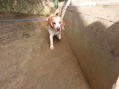 f:id:roukenhome-ann:20190709065559j:plain f:id:roukenhome-ann:20190709065559j:plain