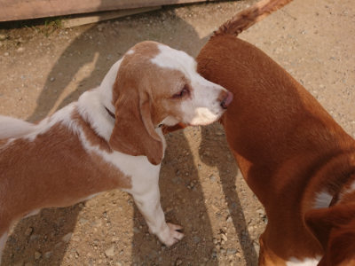 f:id:roukenhome-ann:20190709065626j:plain f:id:roukenhome-ann:20190709065626j:plain