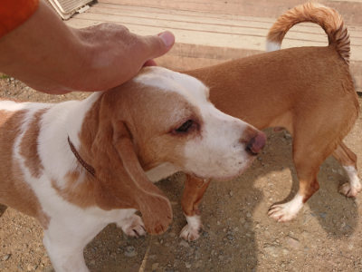 f:id:roukenhome-ann:20190709065640j:plain f:id:roukenhome-ann:20190709065640j:plain