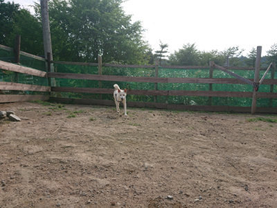 f:id:roukenhome-ann:20190709065659j:plain f:id:roukenhome-ann:20190709065659j:plain