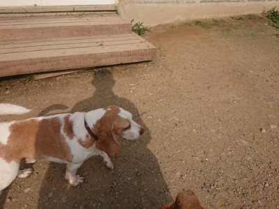 f:id:roukenhome-ann:20190709065723j:plain f:id:roukenhome-ann:20190709065723j:plain
