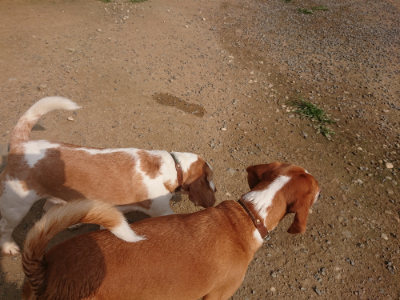 f:id:roukenhome-ann:20190709065727j:plain f:id:roukenhome-ann:20190709065727j:plain