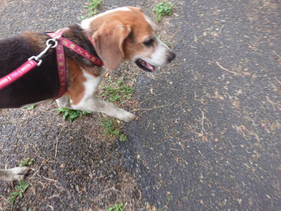 f:id:roukenhome-ann:20190709065809j:plain f:id:roukenhome-ann:20190709065809j:plain