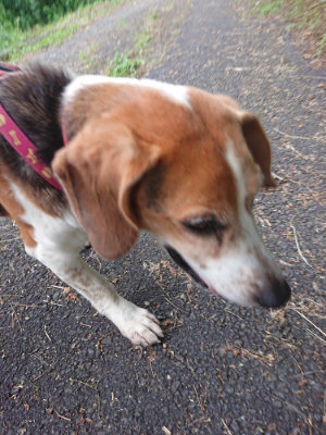 f:id:roukenhome-ann:20190709065814j:plain f:id:roukenhome-ann:20190709065814j:plain