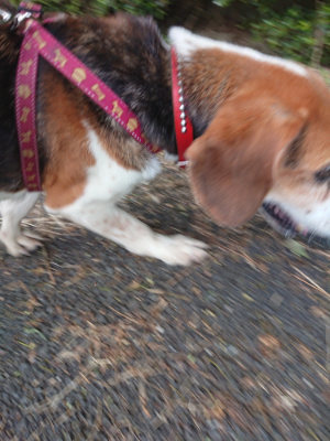 f:id:roukenhome-ann:20190709065818j:plain f:id:roukenhome-ann:20190709065818j:plain