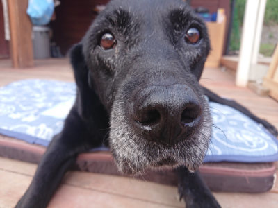 f:id:roukenhome-ann:20190709191022j:plain f:id:roukenhome-ann:20190709191022j:plain