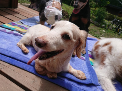 f:id:roukenhome-ann:20190710084427j:plain