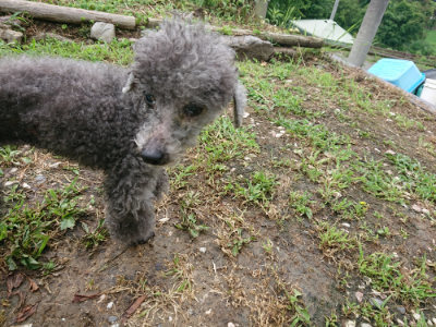f:id:roukenhome-ann:20190710085357j:plain