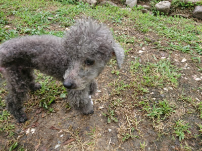f:id:roukenhome-ann:20190710085410j:plain
