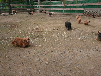 f:id:roukenhome-ann:20190710141737j:plain
