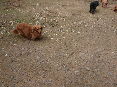 f:id:roukenhome-ann:20190710141742j:plain