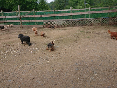 f:id:roukenhome-ann:20190710141803j:plain
