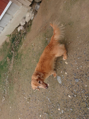 f:id:roukenhome-ann:20190710141831j:plain