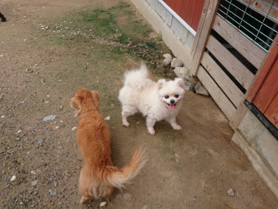 f:id:roukenhome-ann:20190710141852j:plain