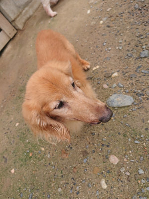f:id:roukenhome-ann:20190710141926j:plain