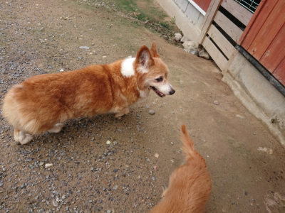 f:id:roukenhome-ann:20190710141945j:plain