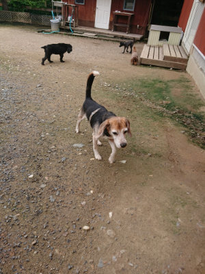 f:id:roukenhome-ann:20190710142040j:plain