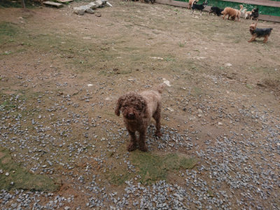 f:id:roukenhome-ann:20190710142049j:plain