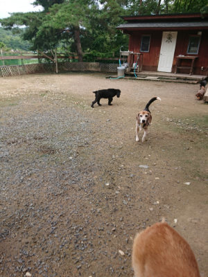 f:id:roukenhome-ann:20190710142054j:plain