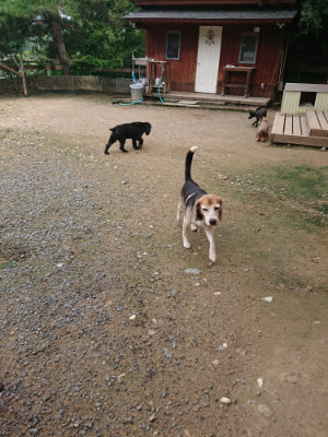 f:id:roukenhome-ann:20190710142100j:plain